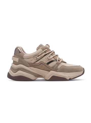 Tamaris Sneakers Low 1-23801-47 in braun