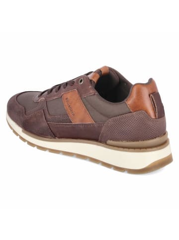 Bullboxer Schnürhalbschuh in brown