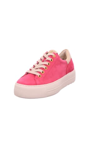 Paul Green Sneaker in pink