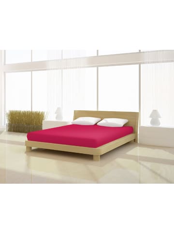 Mr.Sandman Topper Spannbetttuch Full Elastan de luxe 160 x 200 cm in scharlach