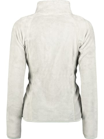 Geographical Norway Fleecejacke in Grau