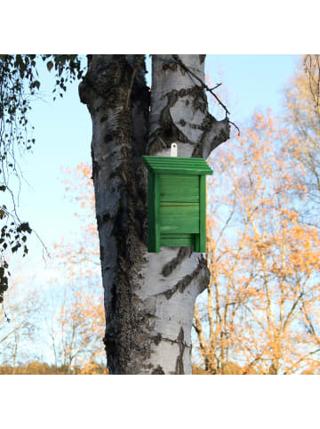 Fledermauskasten in Grün - (B)18 x (H)29 x (T)6 cm