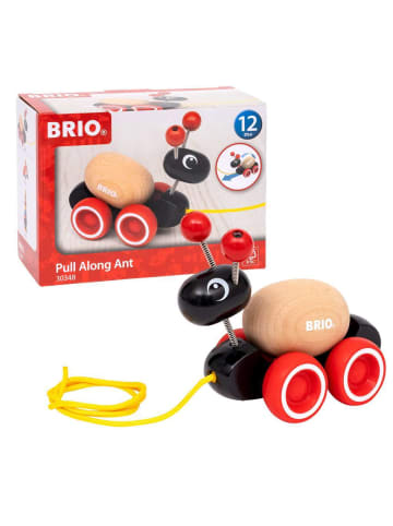 Brio Aktionsspiel BRIO Infant/ Toddler - Nachzieh-Ameise Ab 12 Monate in bunt