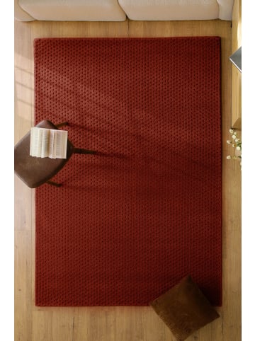 Wecon Home Wollteppich Castello THREE in purpur rot