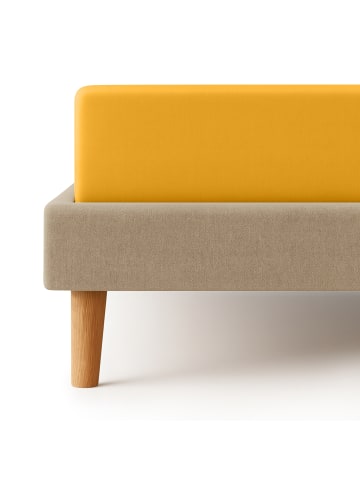 Cats Collection Spannbetttuch Edel-Jersey in gold