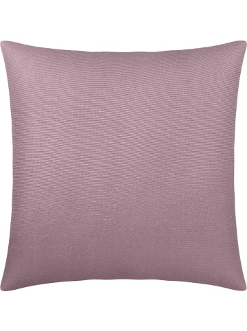 Erwin Müller Single-Jersey Kuschelkissenbezug Freising in mauve