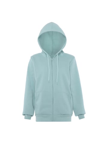 Albee Women Kapuzenjacke in Eisminze