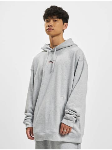 Puma Hoodie in grey
