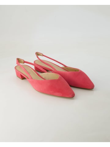 PETER KAISER Slingpumps in Pink