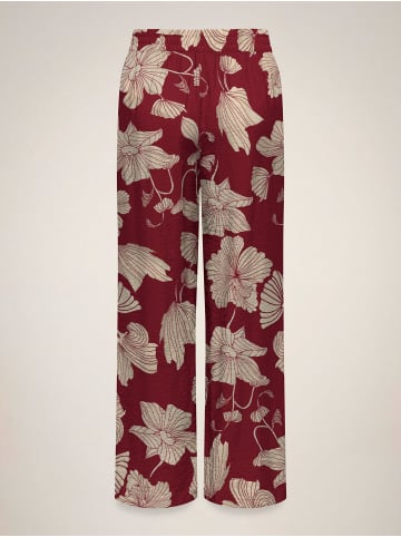 JDY Hose in Cabernet