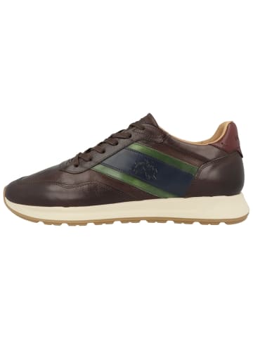 La Martina Sneaker low LFM262 in dunkelbraun