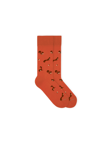 von Jungfeld Motivsocke Eichhörnchen in Orange