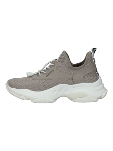 Steve Madden Sneaker in Taupe