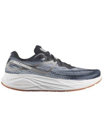 SALOMON Laufschuhe SHOES AERO GLIDE in Grau