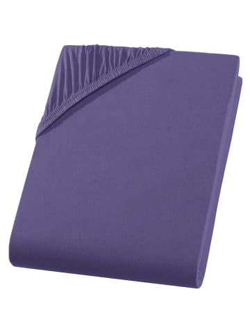 Carpe Sonno Jersey Spannbettlaken in Lila