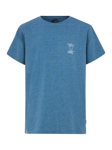 Protest " PRTKevan JR in Raku Blue