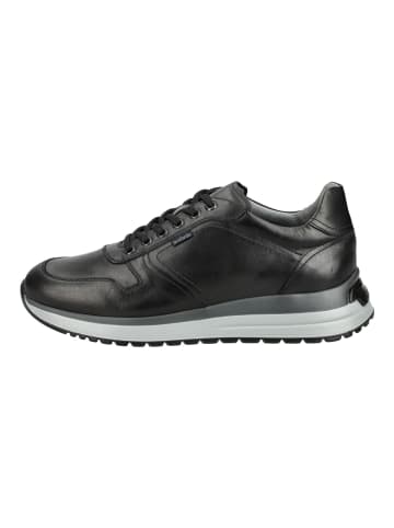 Nero Giardini Sneaker in Schwarz