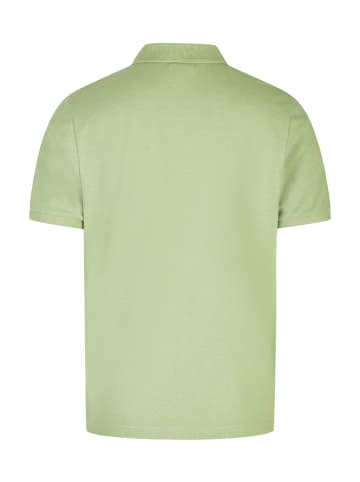 HECHTER PARIS Poloshirt in kiwi