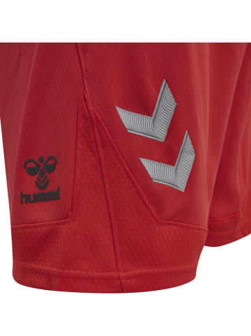 Hummel Short "Hmllead" in Rot
