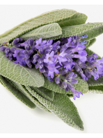 Yodeyma Eau de Parfum Beach 15 ml