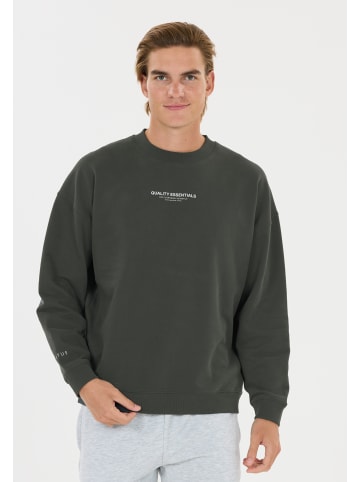 Virtus Sweatshirt Idan in 3278 Forest River