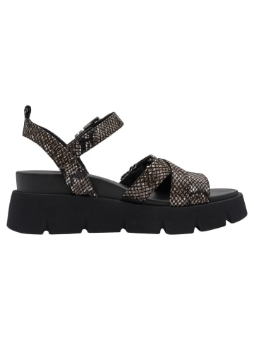 Tamaris Sandalette in BLACK SNAKE
