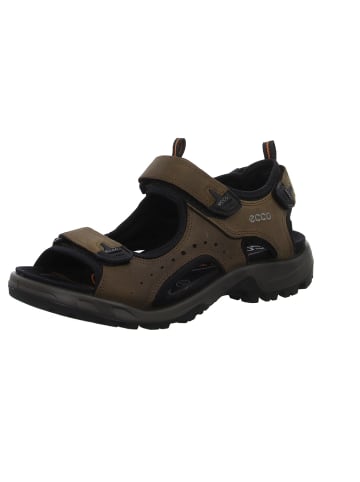 Ecco Outdoorsandalen Offroad in navajo brown