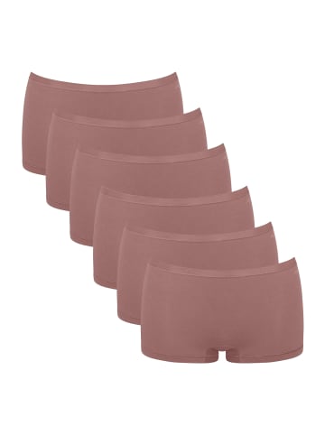 Sloggi Retro Pants GO Daily Cotton Short in CACAO