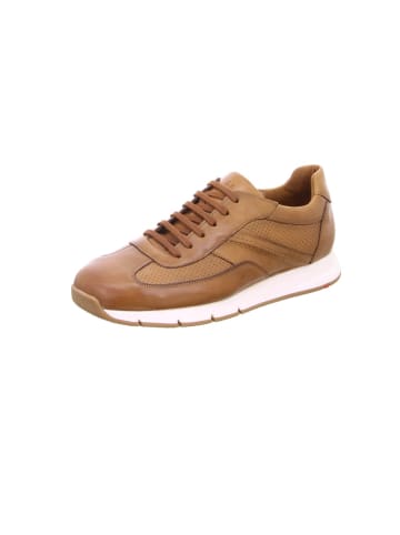 LLOYD Sneaker für Herren in braun