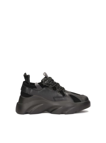 Kazar Studio Sneaker Low in Schwarz