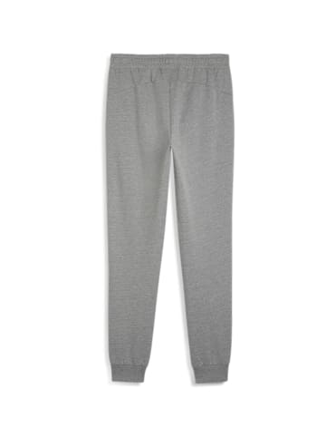 Puma Jogginghose teamGOAL Casuals Pants in grau