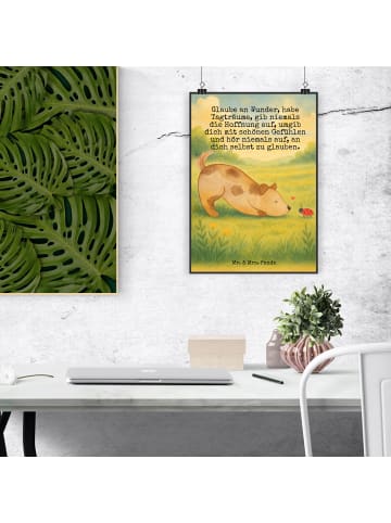 Mr. & Mrs. Panda Poster Hund Marienkäfer Design mit Spruch in Weiß