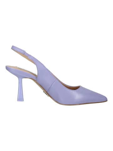 Steve Madden Pumps in Lavender