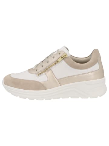 Solidus Damen- Schnürschuhe Holly - Weite H in Beige