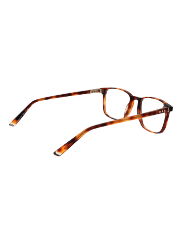 Taylor Morris Unisex Optische Fassungen Vollrand Braun