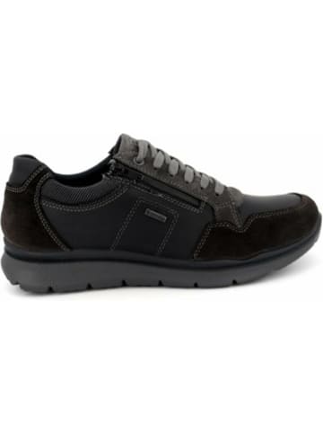 ara Sneaker für Herren in unifarben in uni
