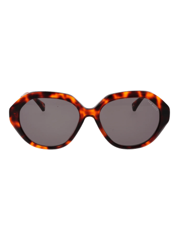 Damen Sonnenbrillen Geometrisch Braun