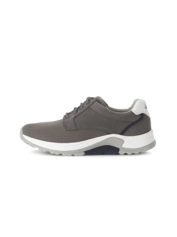 rollingsoft Sneaker low in grau