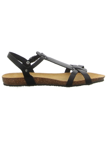 Plakton Riemchensandalette in schwarz