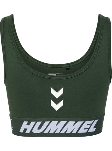 Hummel Hummel Top Hmlte Multisport Damen in CLIMBING IVY