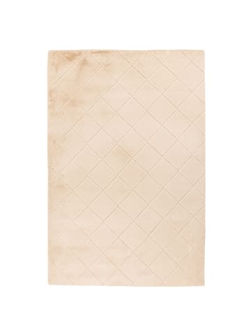 payé Teppich Hochflor Moment