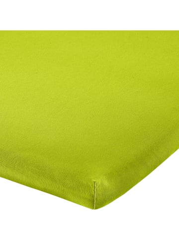 Erwin Müller Single-Jersey Topper-Spannbettlaken Freising in apfelgrün