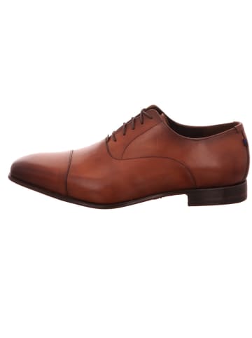 Floris van Bommel Schnürschuh in braun