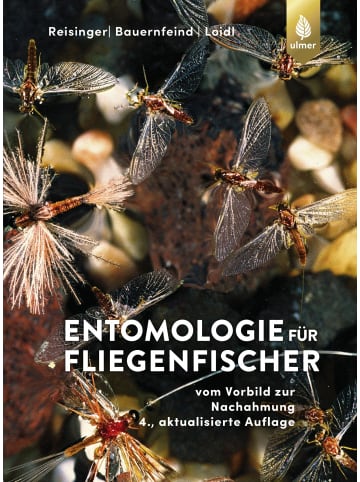 Ulmer Entomologie für Fliegenfischer