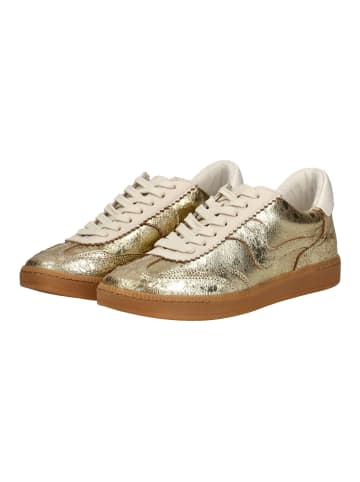 DOLCE VITA Sneaker Gold