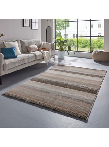Tara Carpet Vintageteppich Argo Stripes in Grau