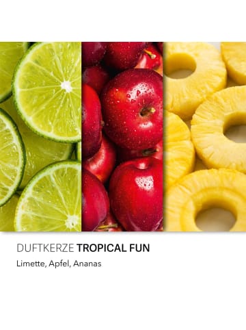 Haribo Duftkerze Haribo™ "Tropical Fun"
