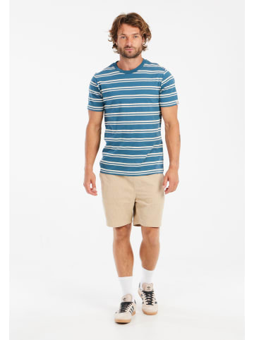 Protest " PRTGuino in Raku Blue