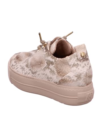 Paul Green Plateau Schnürschuhe in Beige