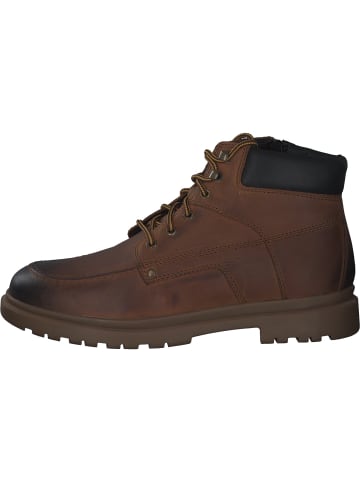 Geox Klassische Stiefel in BROWNCOTTO